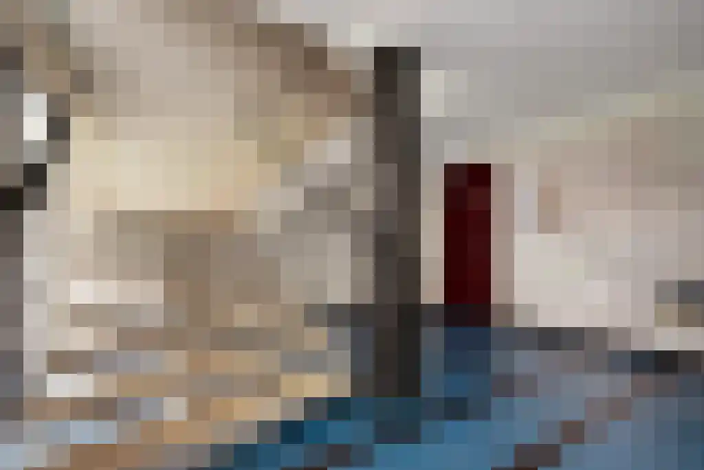 Van Alkemadelaan 914 Den Haag thumbnail 7