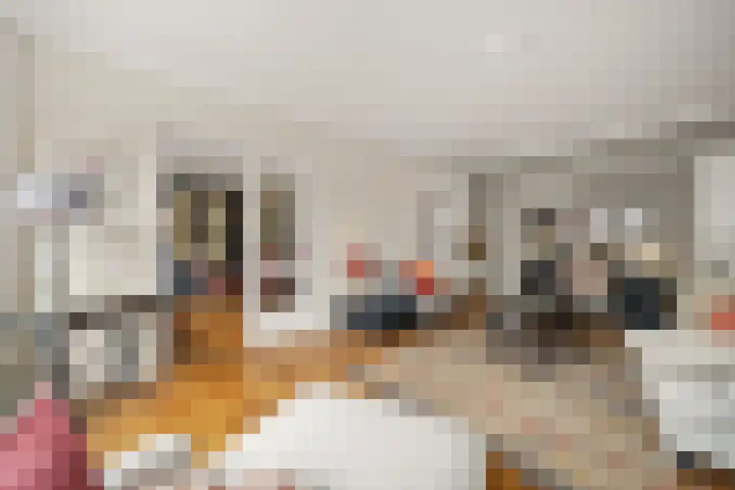 Van Alkemadelaan 972 Den Haag thumbnail 10