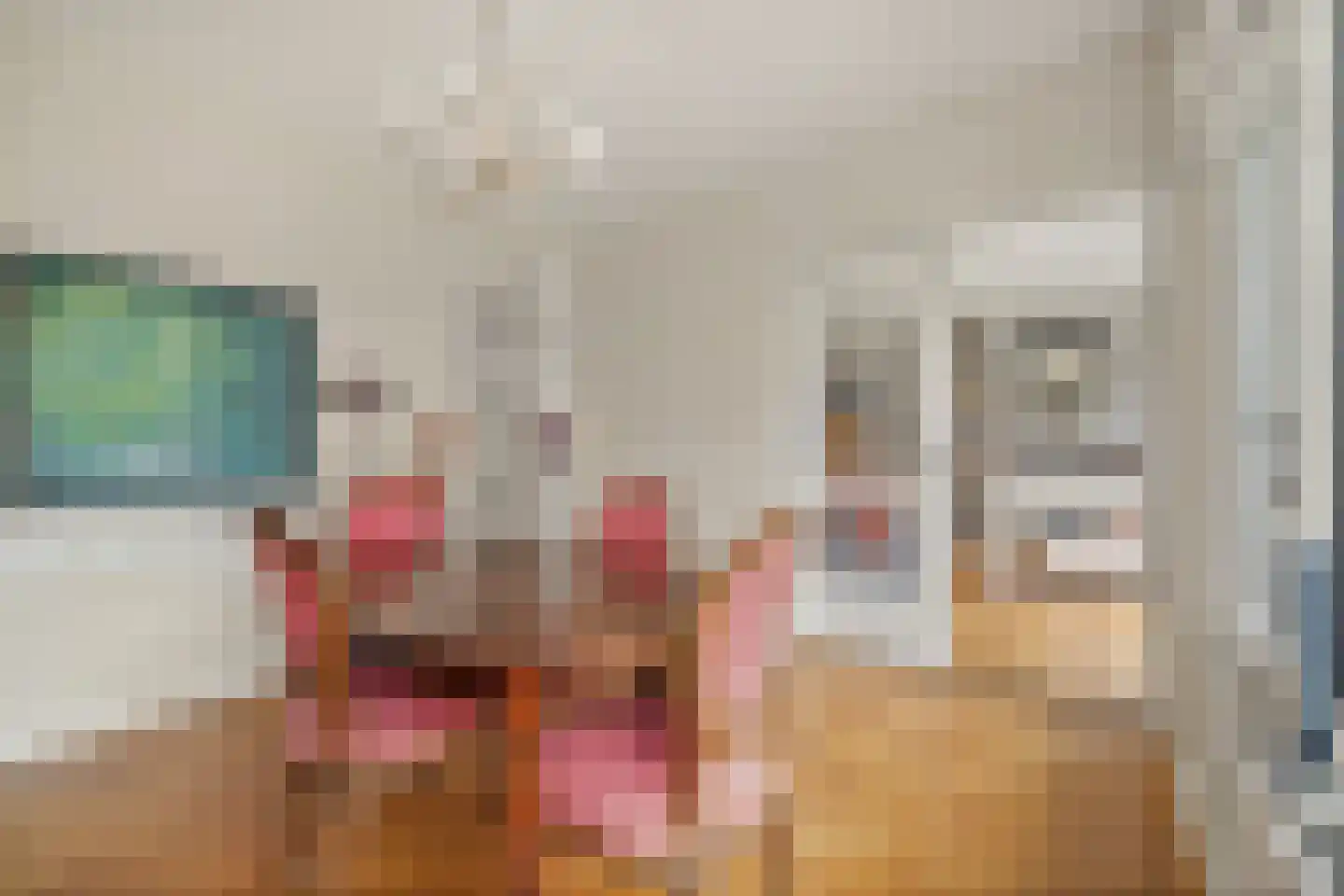 Van Alkemadelaan 972 Den Haag thumbnail 11
