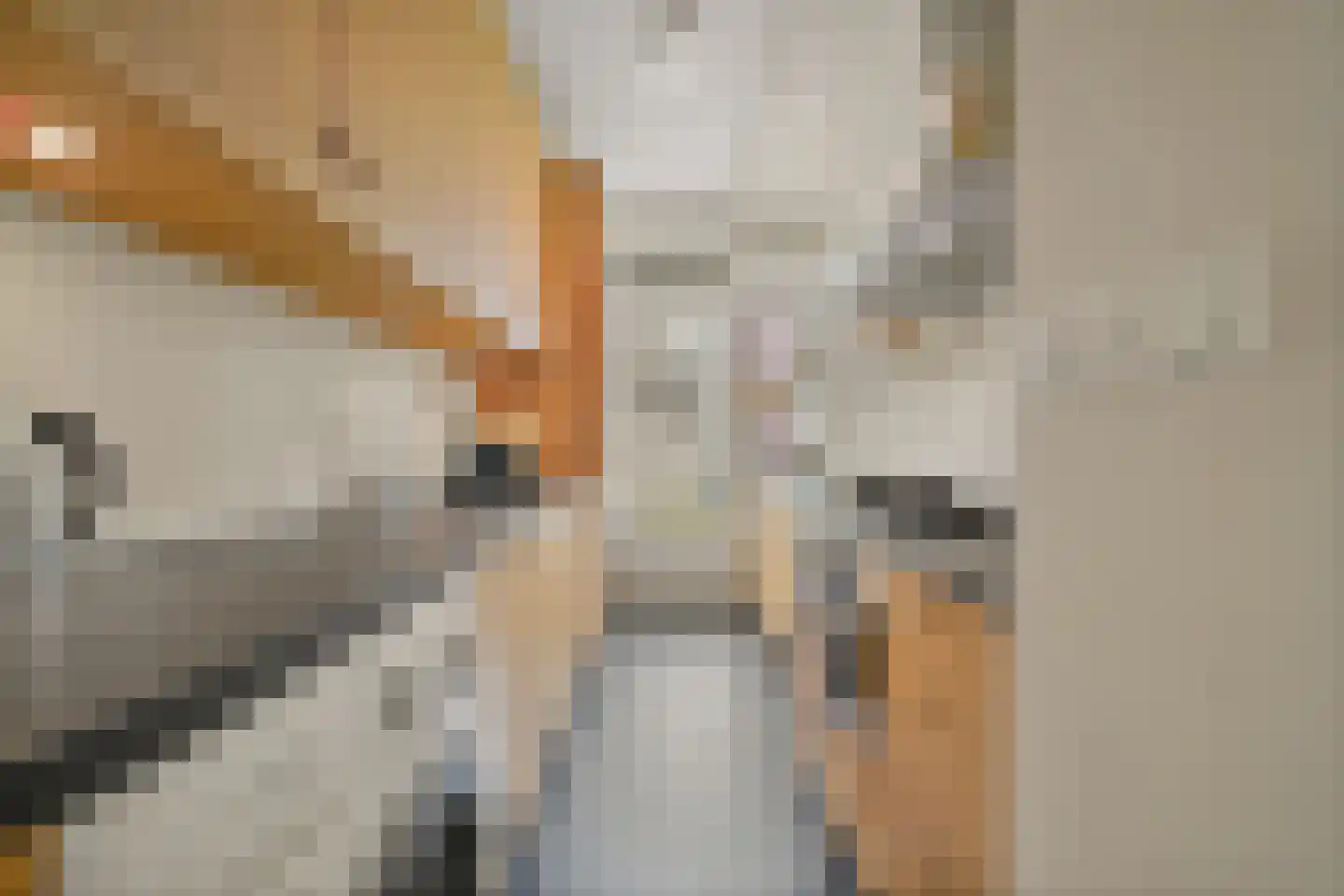 Van Alkemadelaan 972 Den Haag thumbnail 18