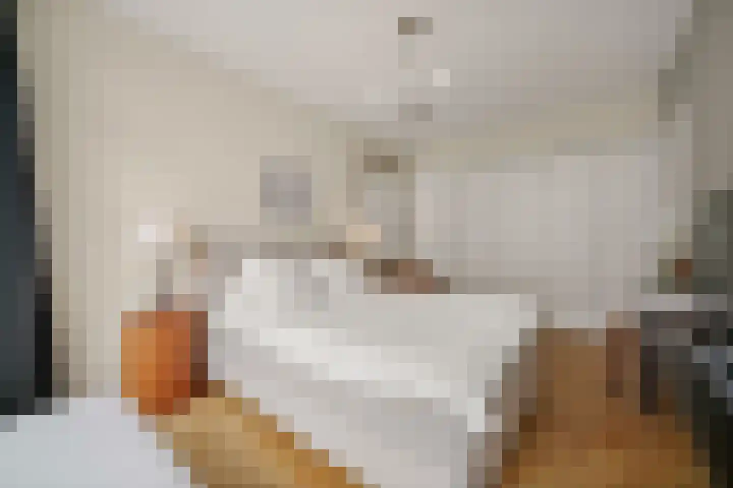 Van Alkemadelaan 972 Den Haag thumbnail 23