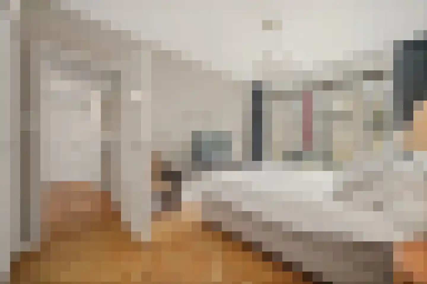 Van Alkemadelaan 972 Den Haag thumbnail 24