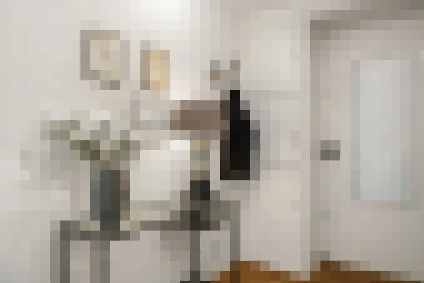 Van Alkemadelaan 972 Den Haag thumbnail 4