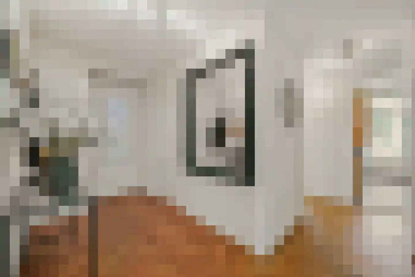 Van Alkemadelaan 972 Den Haag thumbnail 6