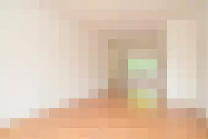 Van Alkemadelaan 98 Den Haag thumbnail 11