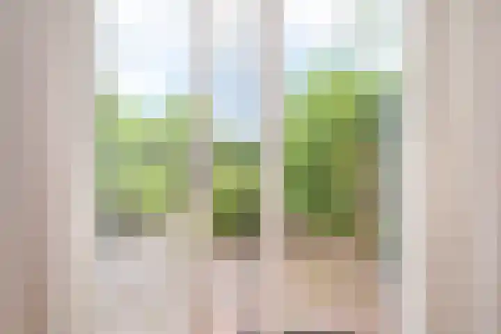 Van Alkemadelaan 98 Den Haag thumbnail 17