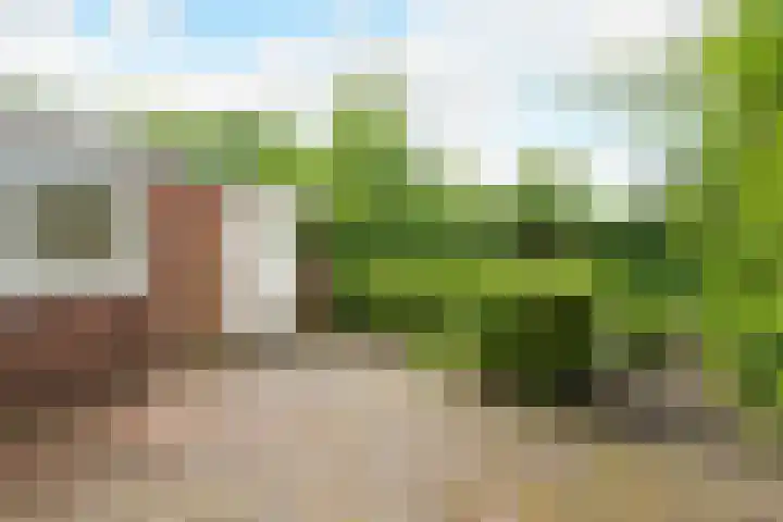 Van Alkemadelaan 98 Den Haag thumbnail 18