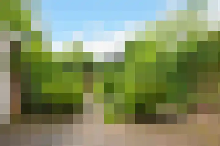 Van Alkemadelaan 98 Den Haag thumbnail 19