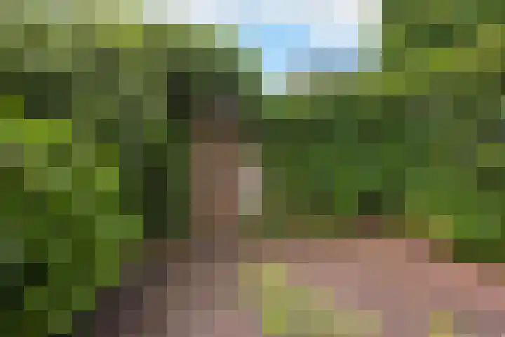 Van Alkemadelaan 98 Den Haag thumbnail 20