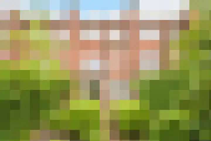 Van Alkemadelaan 98 Den Haag thumbnail 21