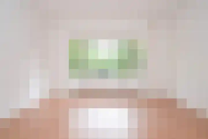 Van Alkemadelaan 98 Den Haag thumbnail 30