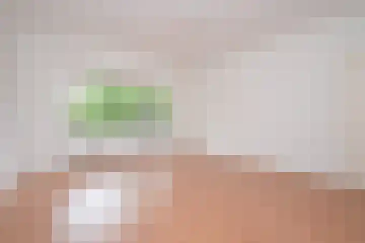 Van Alkemadelaan 98 Den Haag thumbnail 31