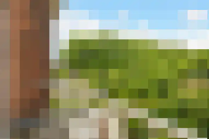Van Alkemadelaan 98 Den Haag thumbnail 33