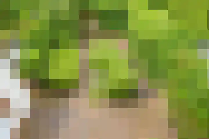 Van Alkemadelaan 98 Den Haag thumbnail 34