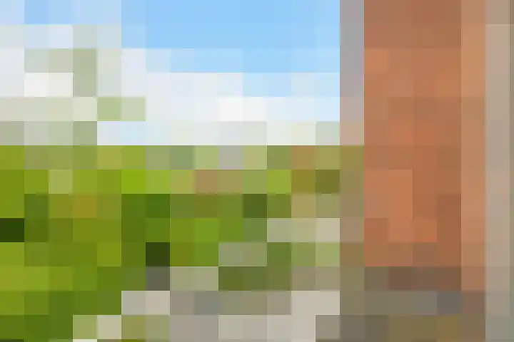 Van Alkemadelaan 98 Den Haag thumbnail 35