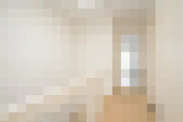 Van Alkemadelaan 98 Den Haag thumbnail 38