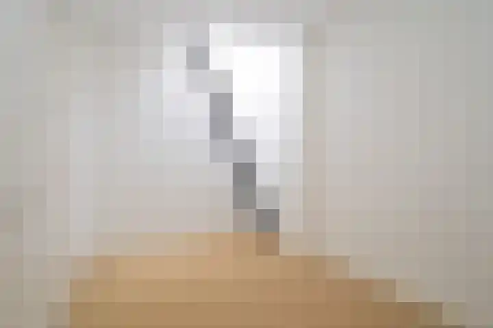 Van Alkemadelaan 98 Den Haag thumbnail 43