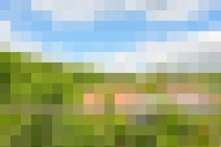 Van Alkemadelaan 98 Den Haag thumbnail 47