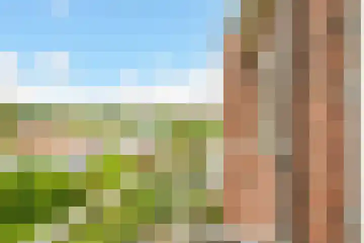 Van Alkemadelaan 98 Den Haag thumbnail 48