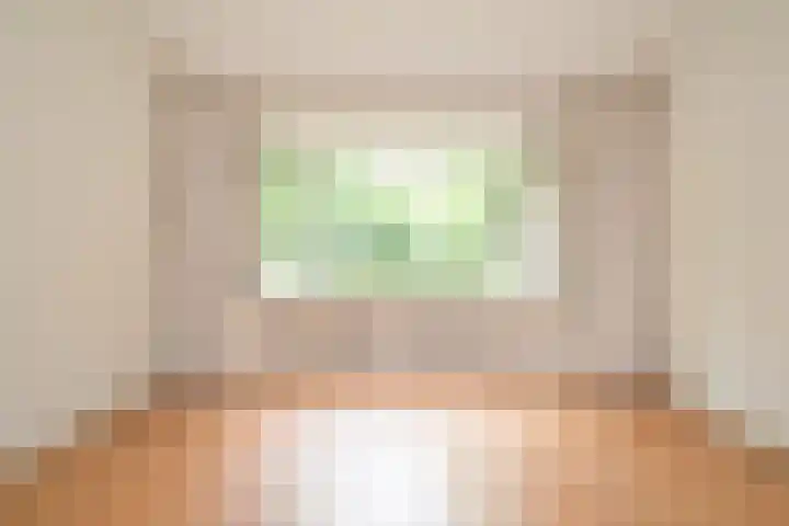 Van Alkemadelaan 98 Den Haag thumbnail 7