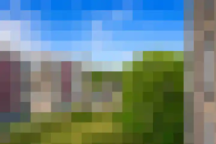 Van Alkemadelaan 992 Den Haag thumbnail 12