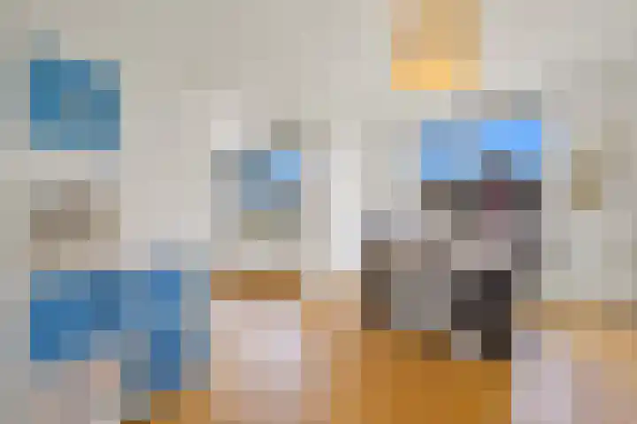 Van Alkemadelaan 992 Den Haag thumbnail 14