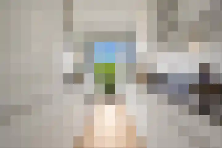 Van Alkemadelaan 992 Den Haag thumbnail 17