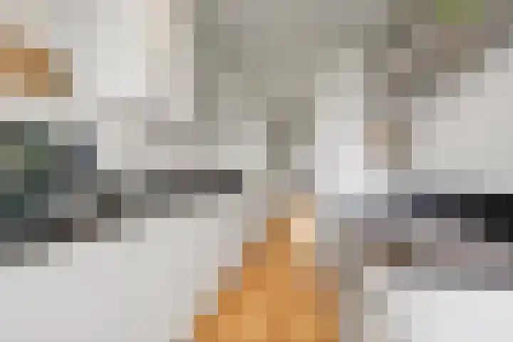 Van Alkemadelaan 992 Den Haag thumbnail 18