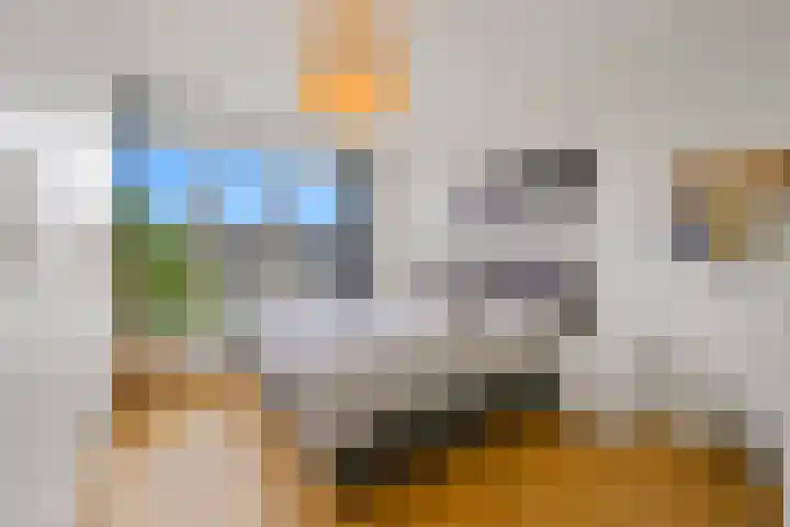 Van Alkemadelaan 992 Den Haag thumbnail 28