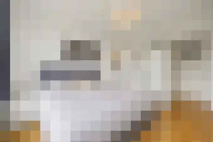 Van Alkemadelaan 992 Den Haag thumbnail 29