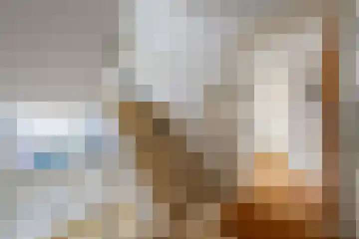 Van Alkemadelaan 992 Den Haag thumbnail 30