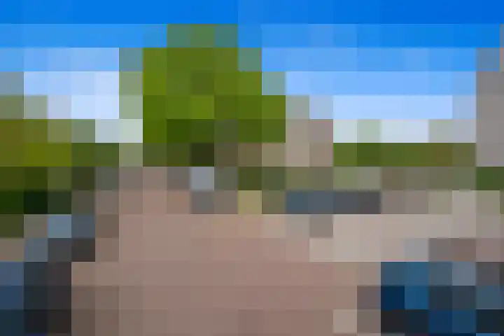 Van Alkemadelaan 992 Den Haag thumbnail 32