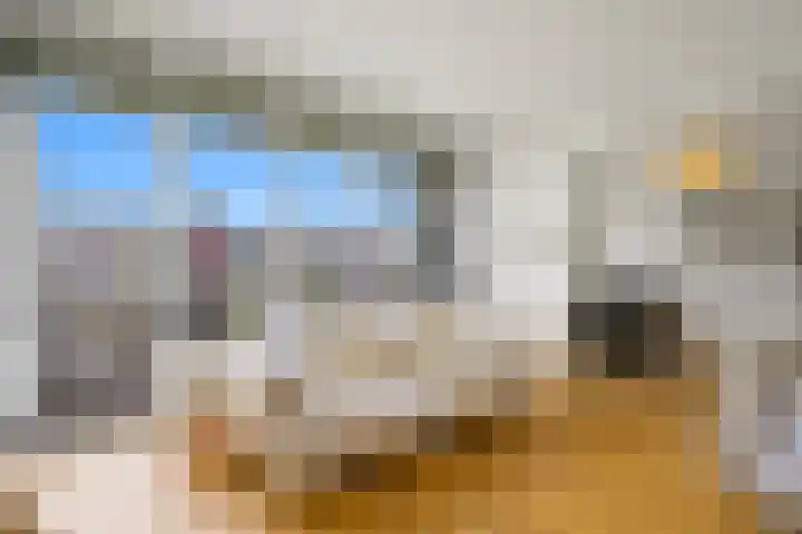 Van Alkemadelaan 992 Den Haag thumbnail 5