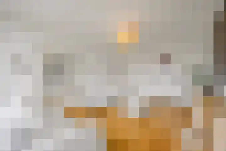 Van Alkemadelaan 992 Den Haag thumbnail 9