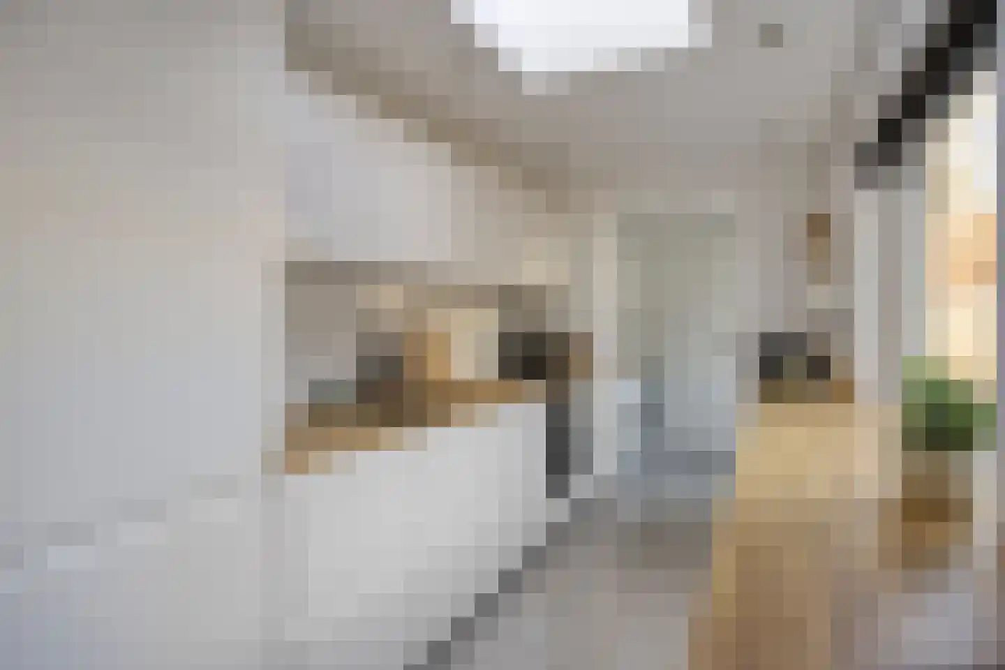 Van Alkemadestraat 11 Tilburg thumbnail 18