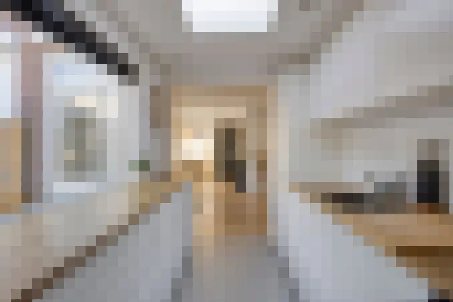 Van Alkemadestraat 11 Tilburg thumbnail 19