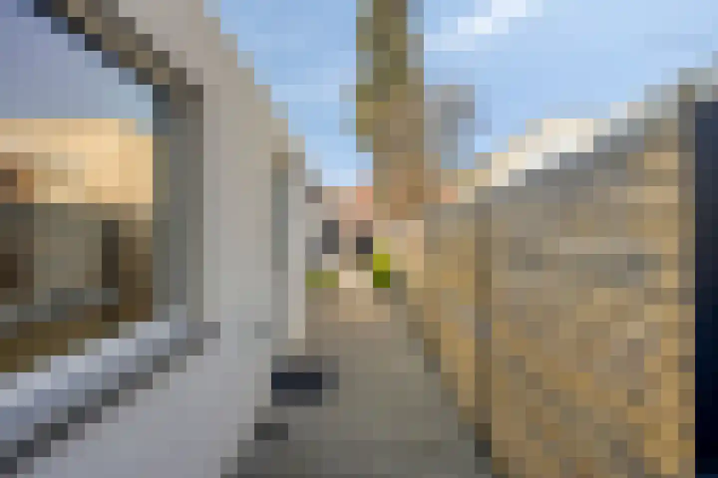 Van Alkemadestraat 11 Tilburg thumbnail 31