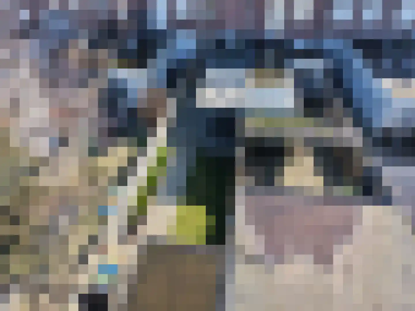 Van Alkemadestraat 11 Tilburg thumbnail 37