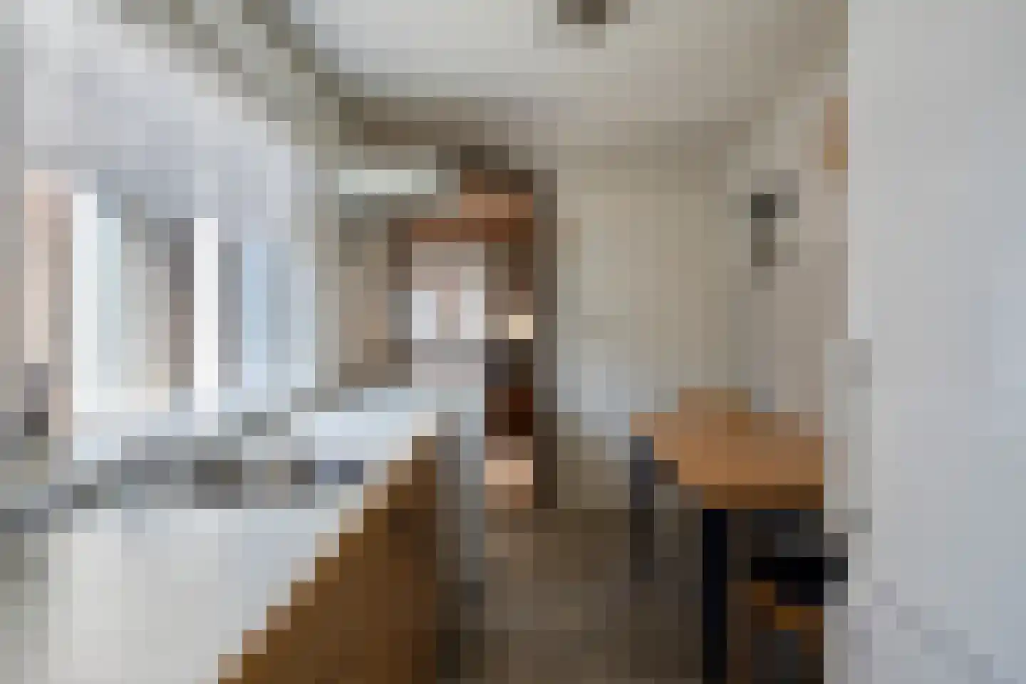 Van Alkemadestraat 12 Tilburg thumbnail 13