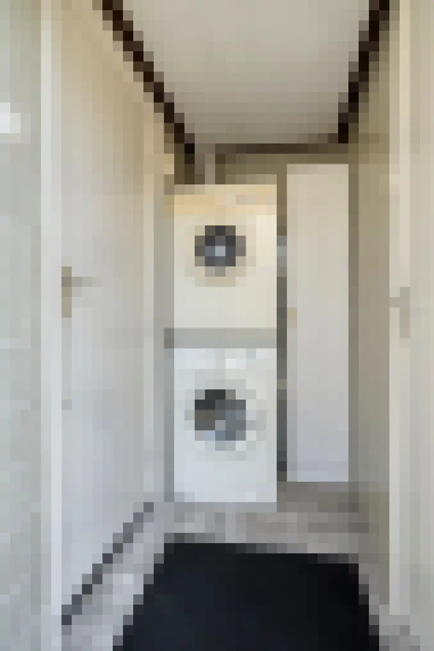 Van Alkemadestraat 12 Tilburg thumbnail 14