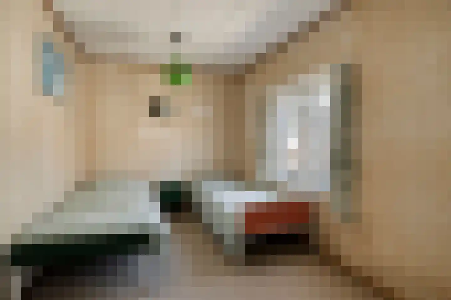 Van Alkemadestraat 12 Tilburg thumbnail 23