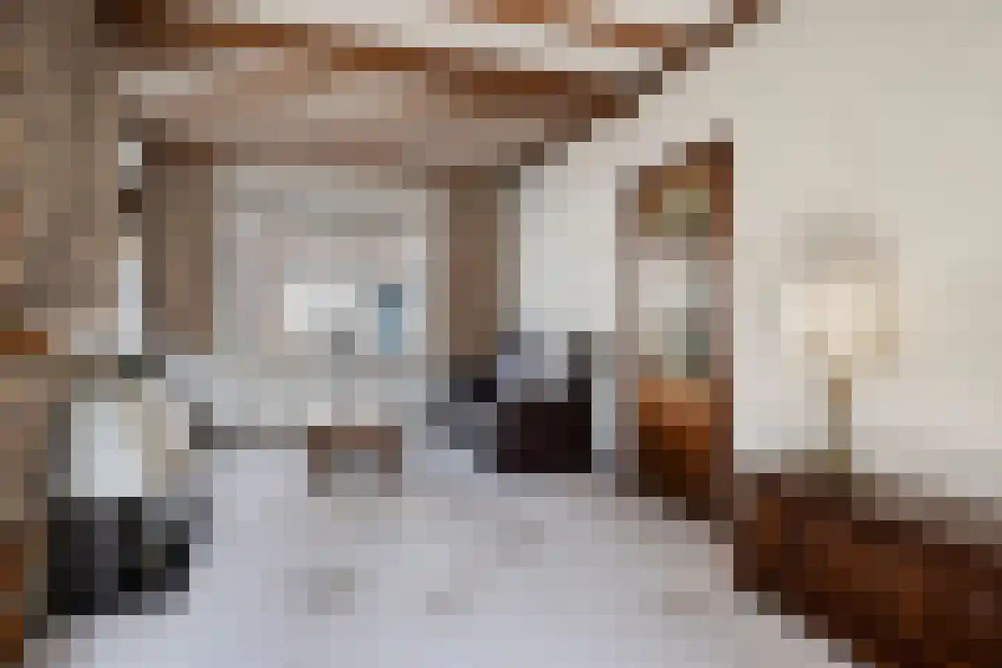 Van Alkemadestraat 12 Tilburg thumbnail 9