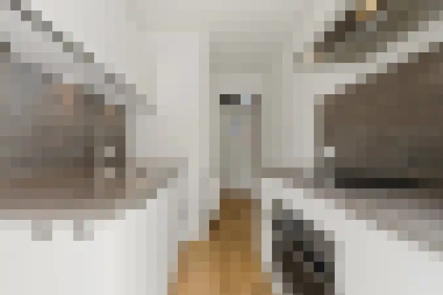 Van Alkemadestraat 14 Rotterdam thumbnail 14