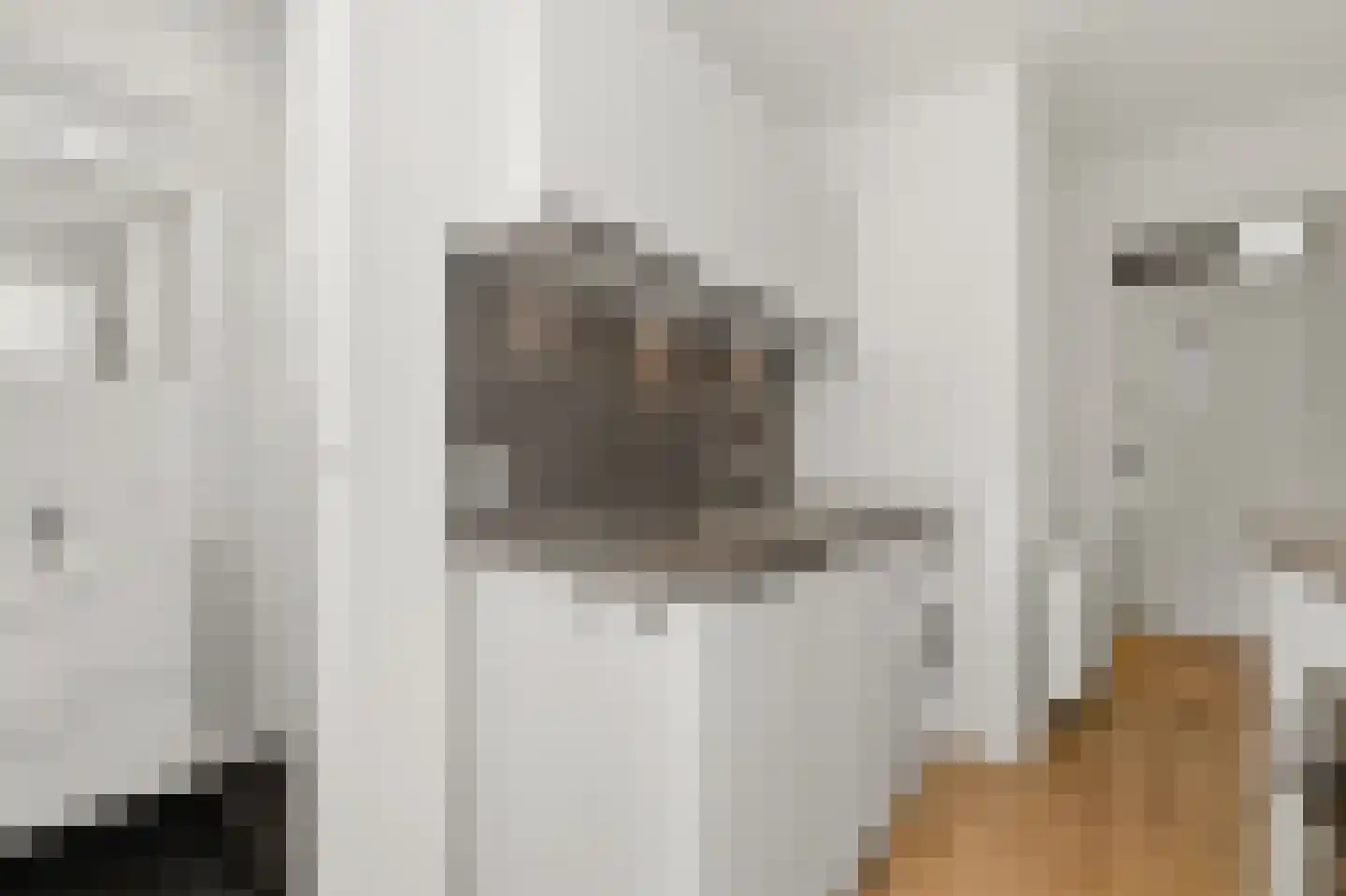 Van Alkemadestraat 14 Rotterdam thumbnail 15