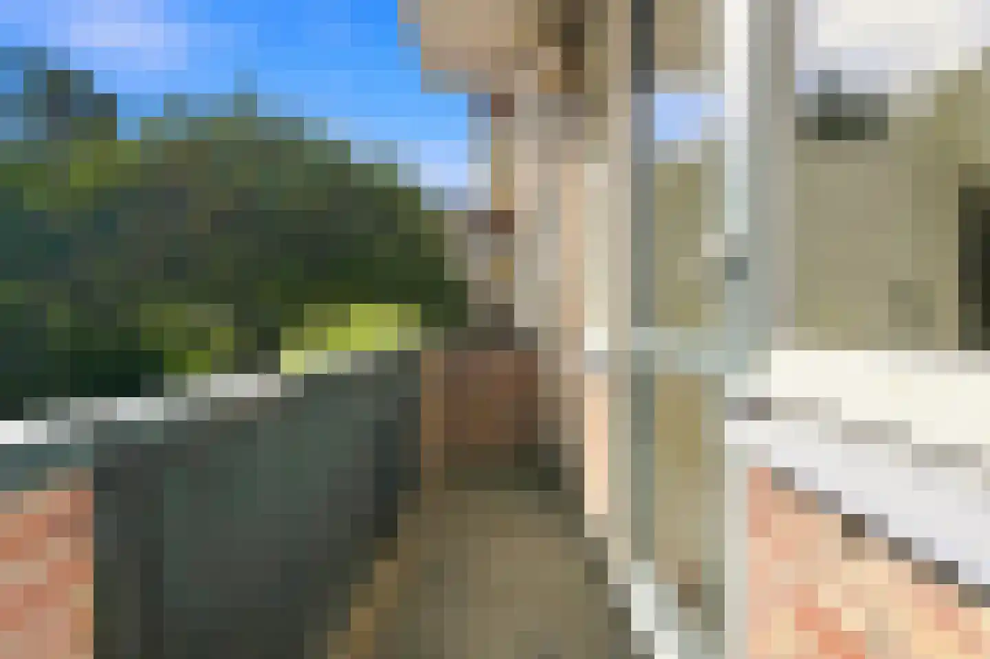 Van Alkemadestraat 14 Rotterdam thumbnail 19