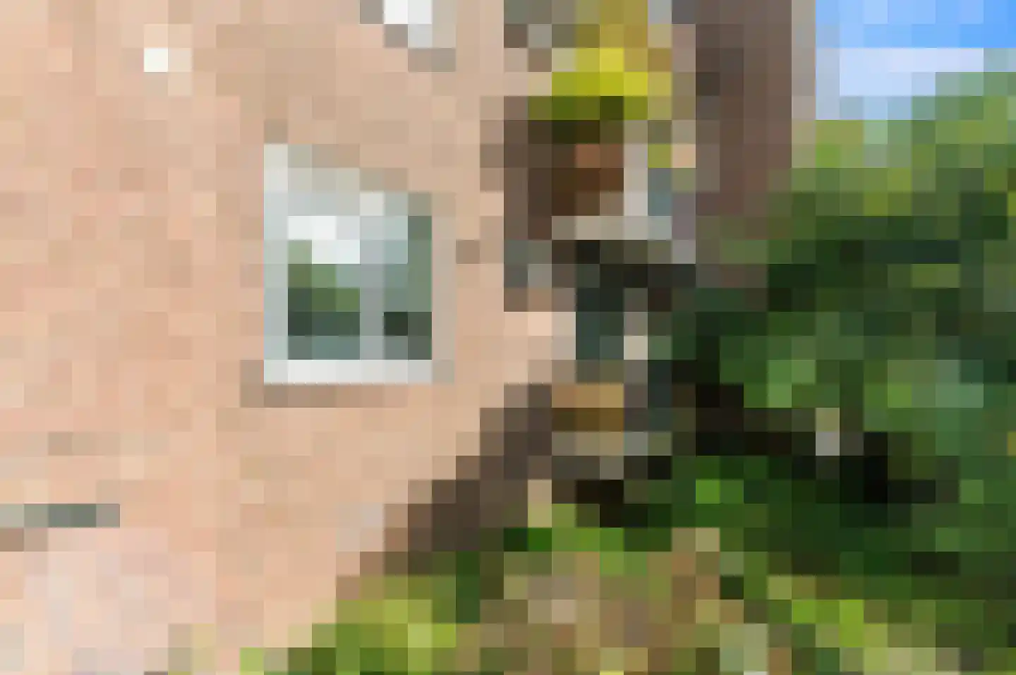 Van Alkemadestraat 14 Rotterdam thumbnail 20