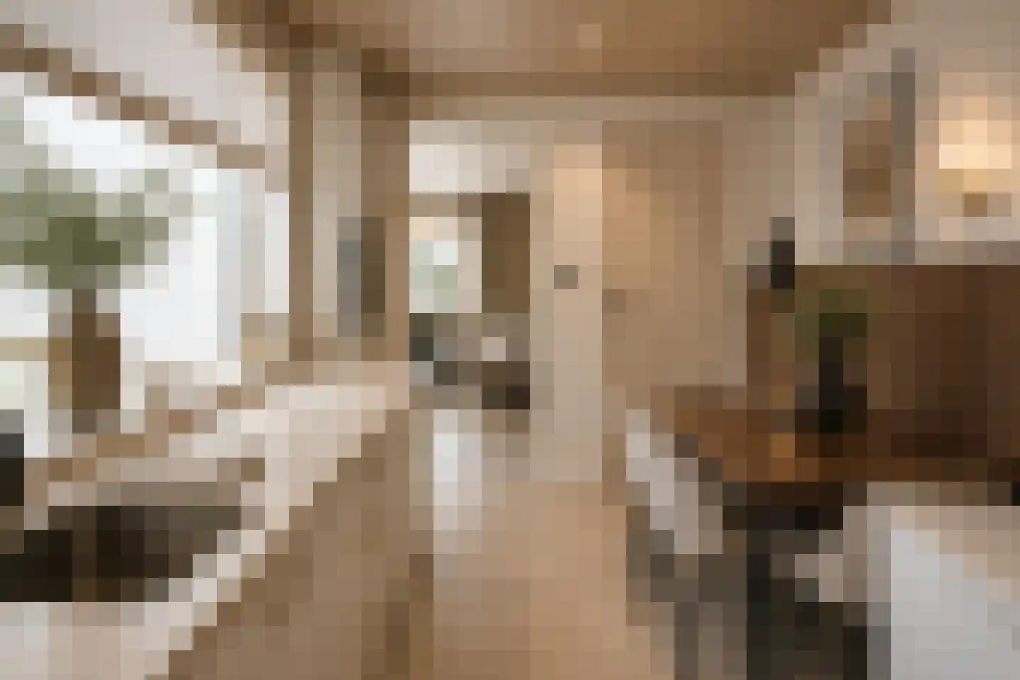 Van Alkemadestraat 16 Tilburg thumbnail 10