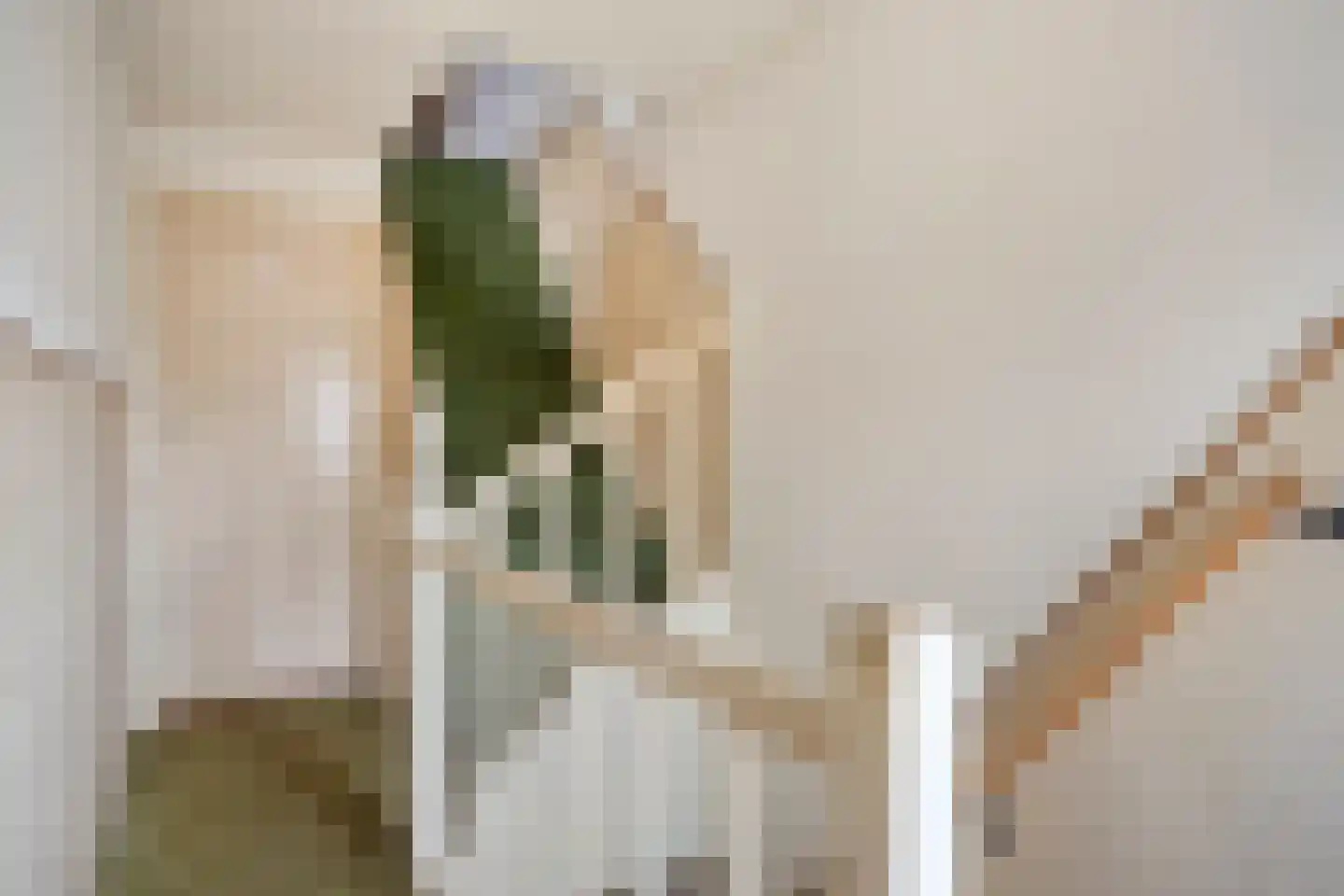 Van Alkemadestraat 16 Tilburg thumbnail 16