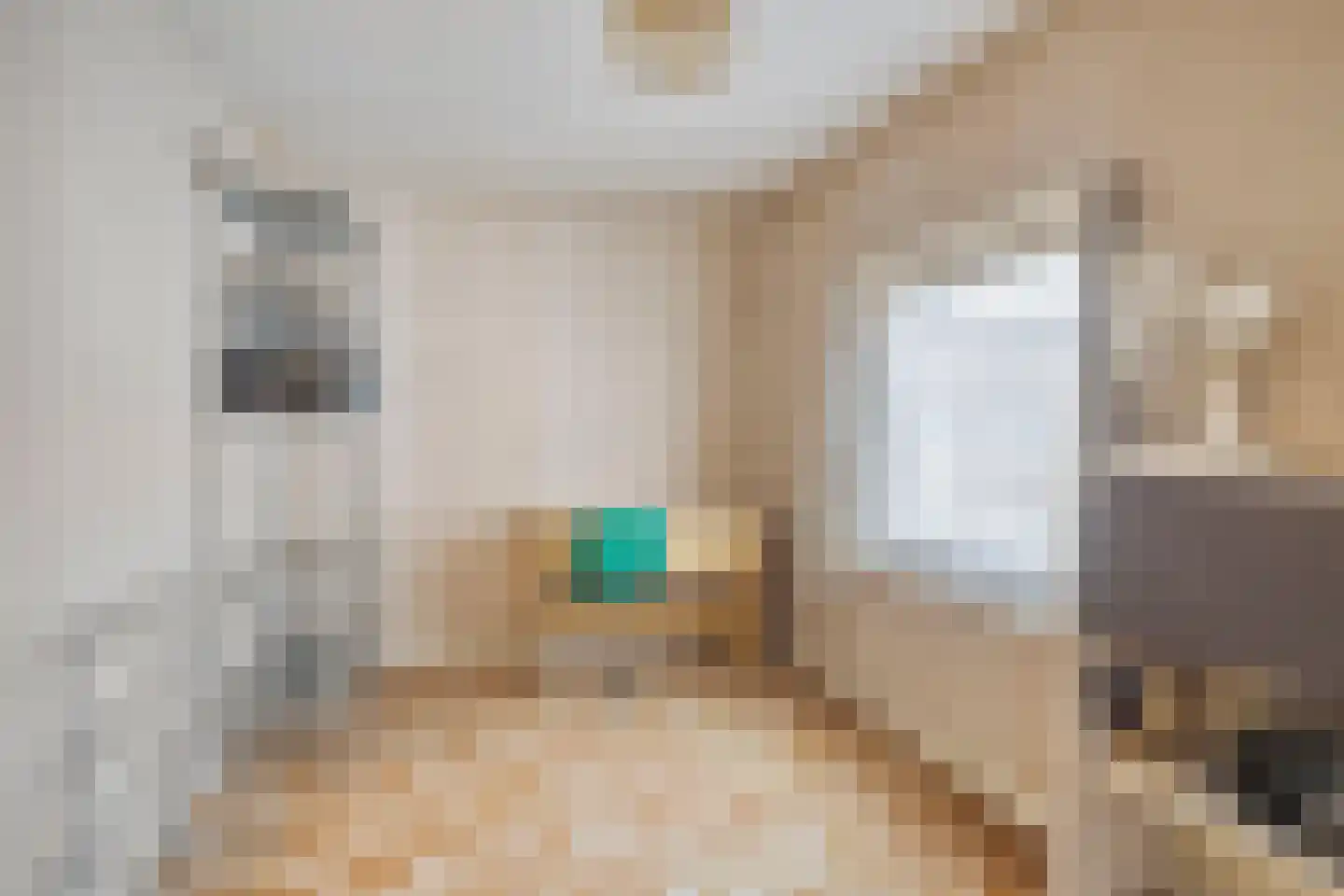 Van Alkemadestraat 16 Tilburg thumbnail 20