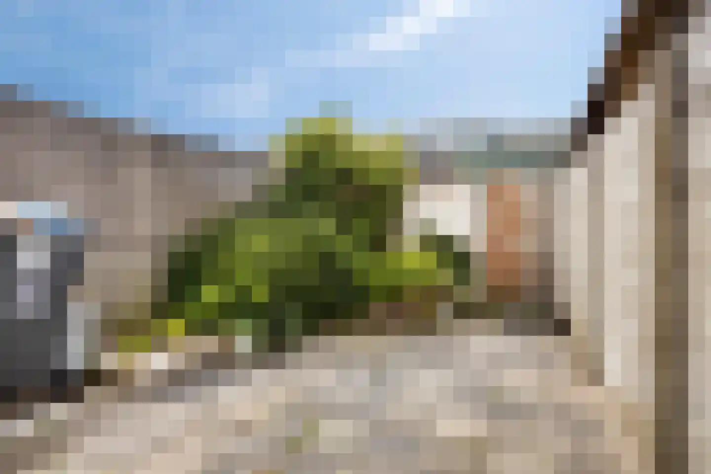 Van Alkemadestraat 16 Tilburg thumbnail 26
